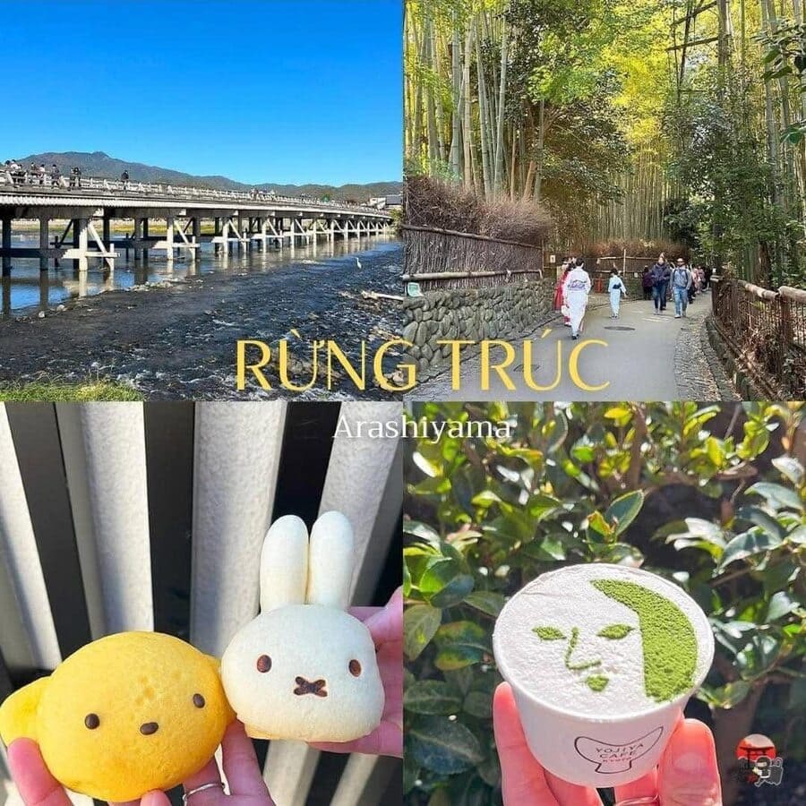 2. Rừng Trúc Arashiyama – Khung Cảnh Xanh Mát Và Café Matcha Chuẩn Nhật